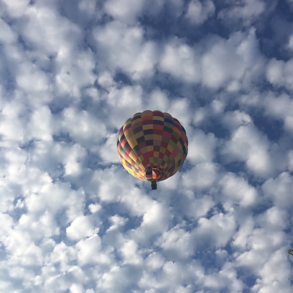 Meet your Posher, Michelle