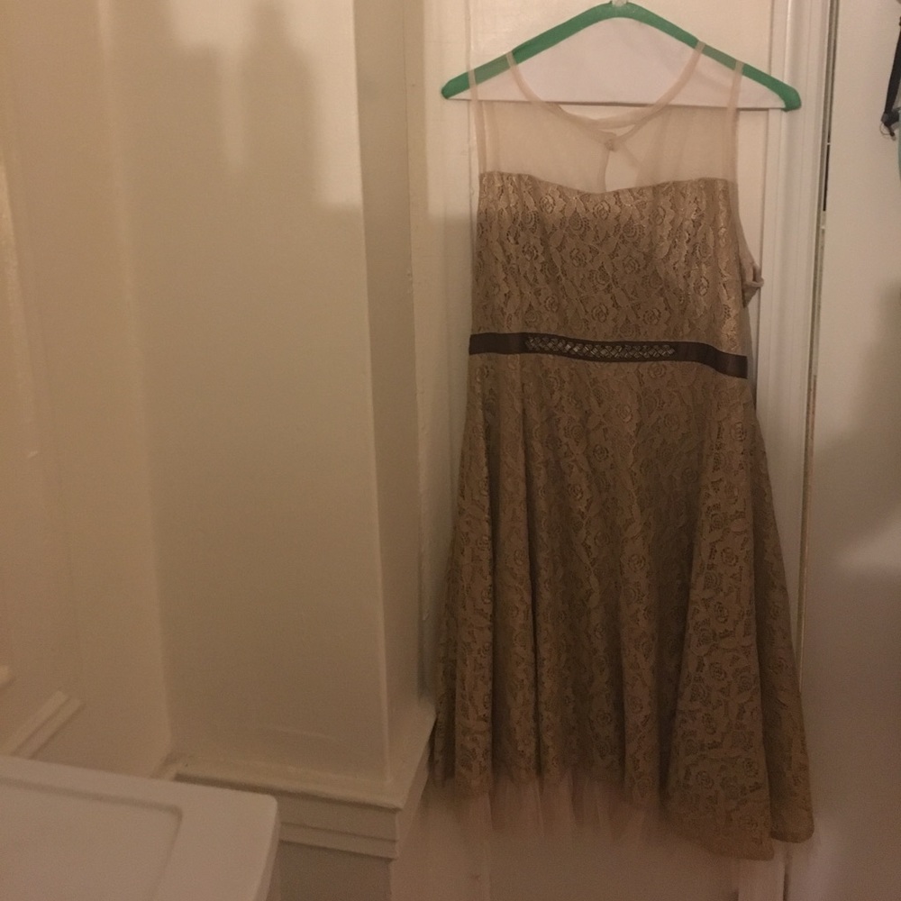 Gold lace dress from ModCloth.