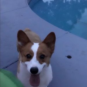 Meet your Posher, Jody