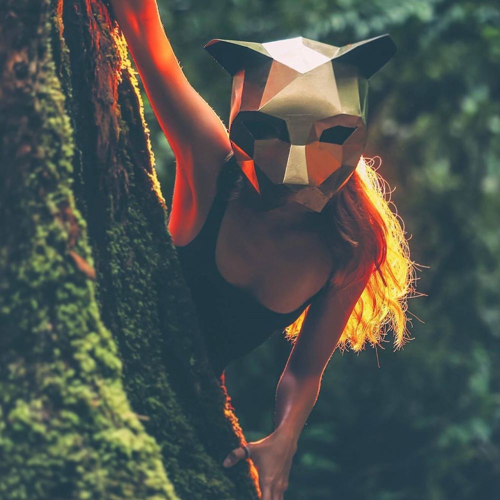 Meet your Posher, Katt