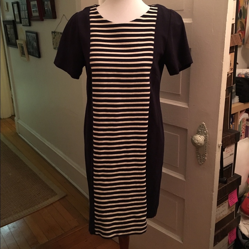 Navy Jcrew Dress