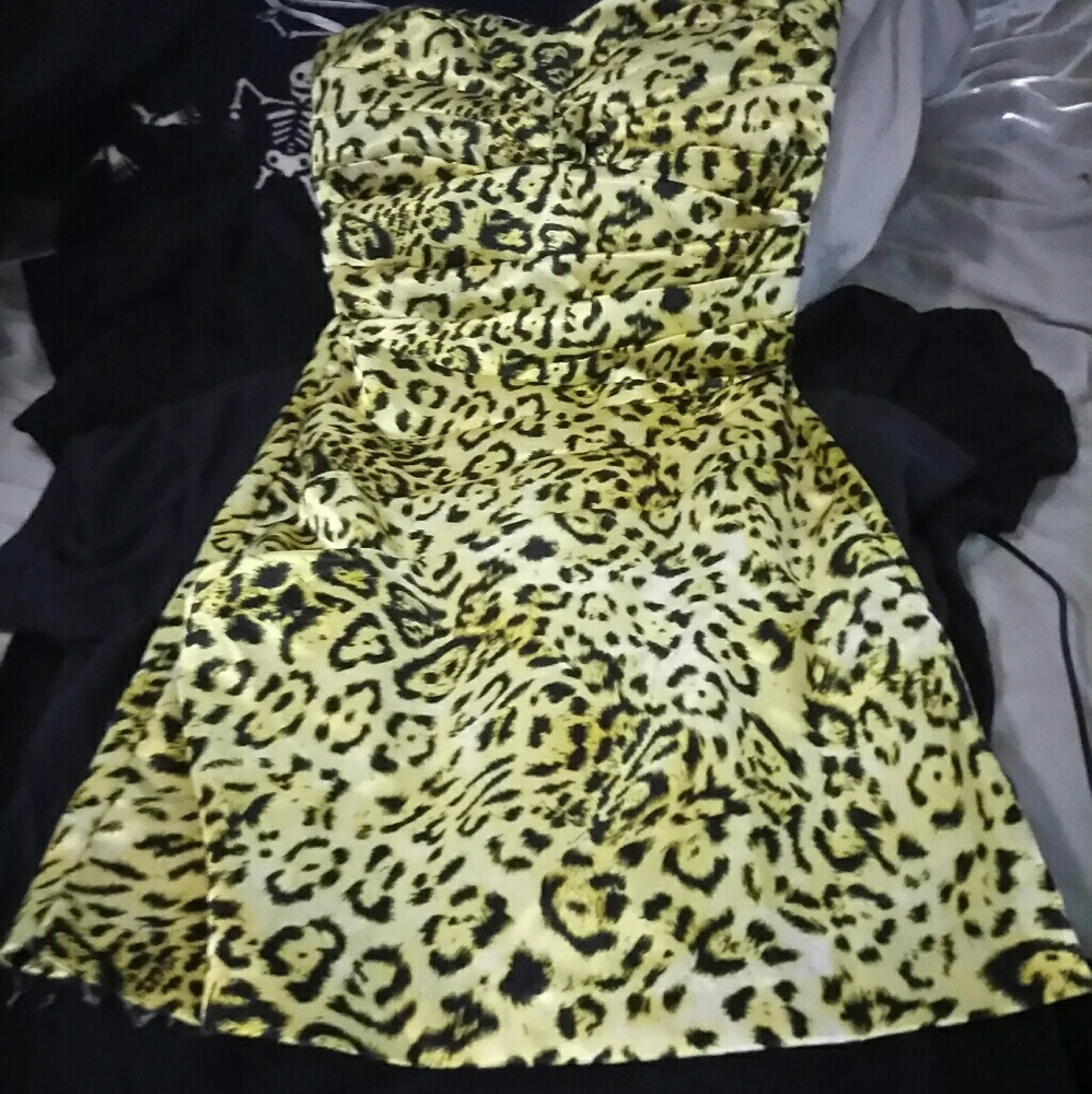 Silk leopard dress size small. BNWOT