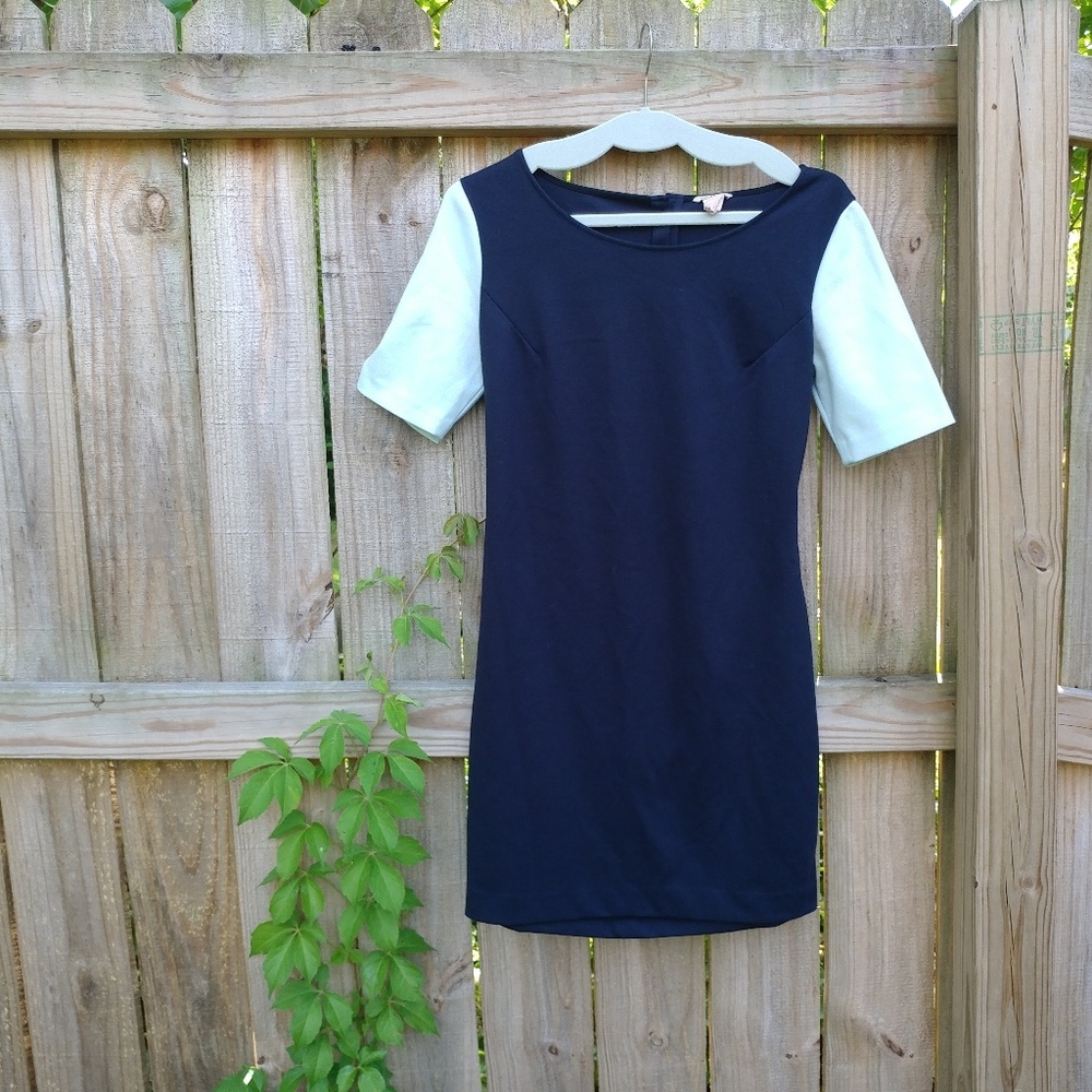 Club Monaco Blues Dress