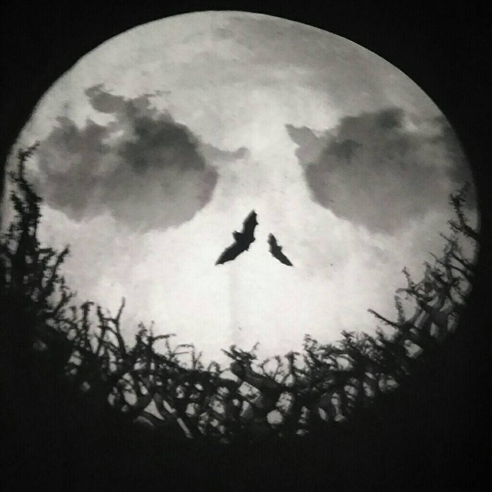 Men's medium, BNWOT Nightmare Before Shirt