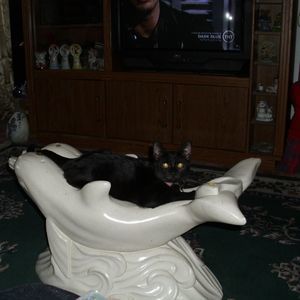 Meet your Posher, Cindy