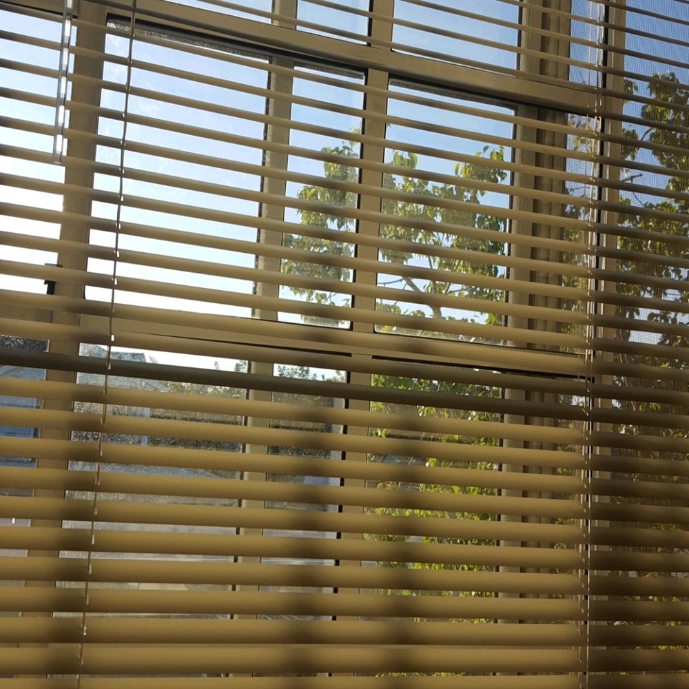 Meet your Posher, Soha