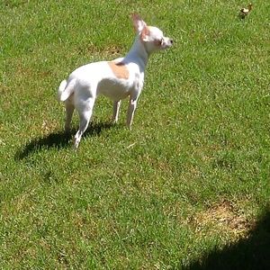 Meet your Posher, Gary