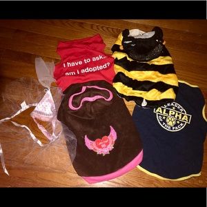 Set of SIX Dog Clothes and Halloween Costumes