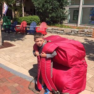 Meet your Posher, Tara