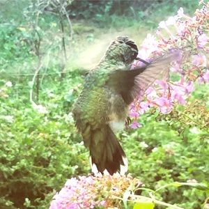 Meet your Posher Erin