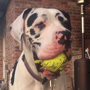 Meet your Posher, Jamie