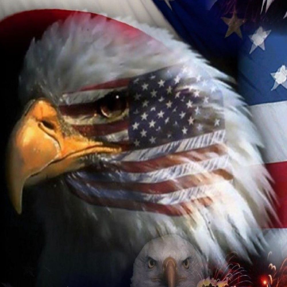 Meet your Posher, Tamy