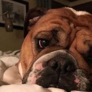 Meet your Posher, Jessica