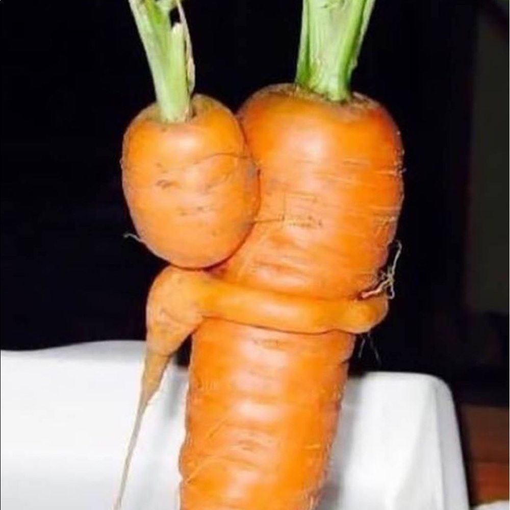 Meet your Posher, Sue