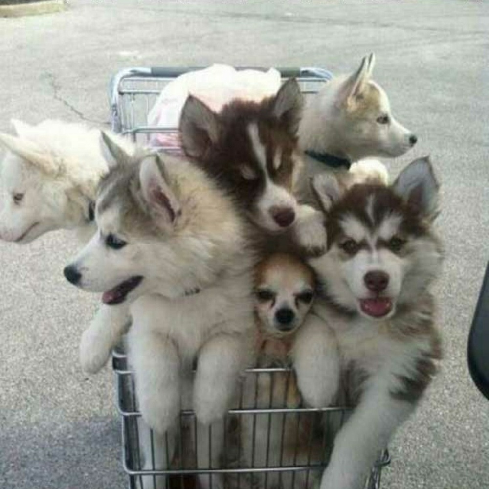 Check out my Closet