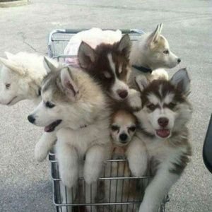 Check out my Closet