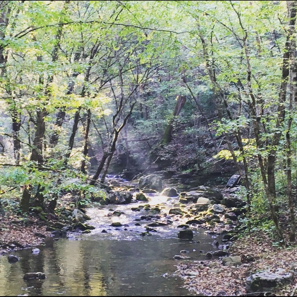 Meet your Posher, Rachael