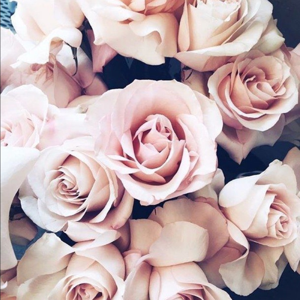 💐 10% OFF ALL BUNDLES