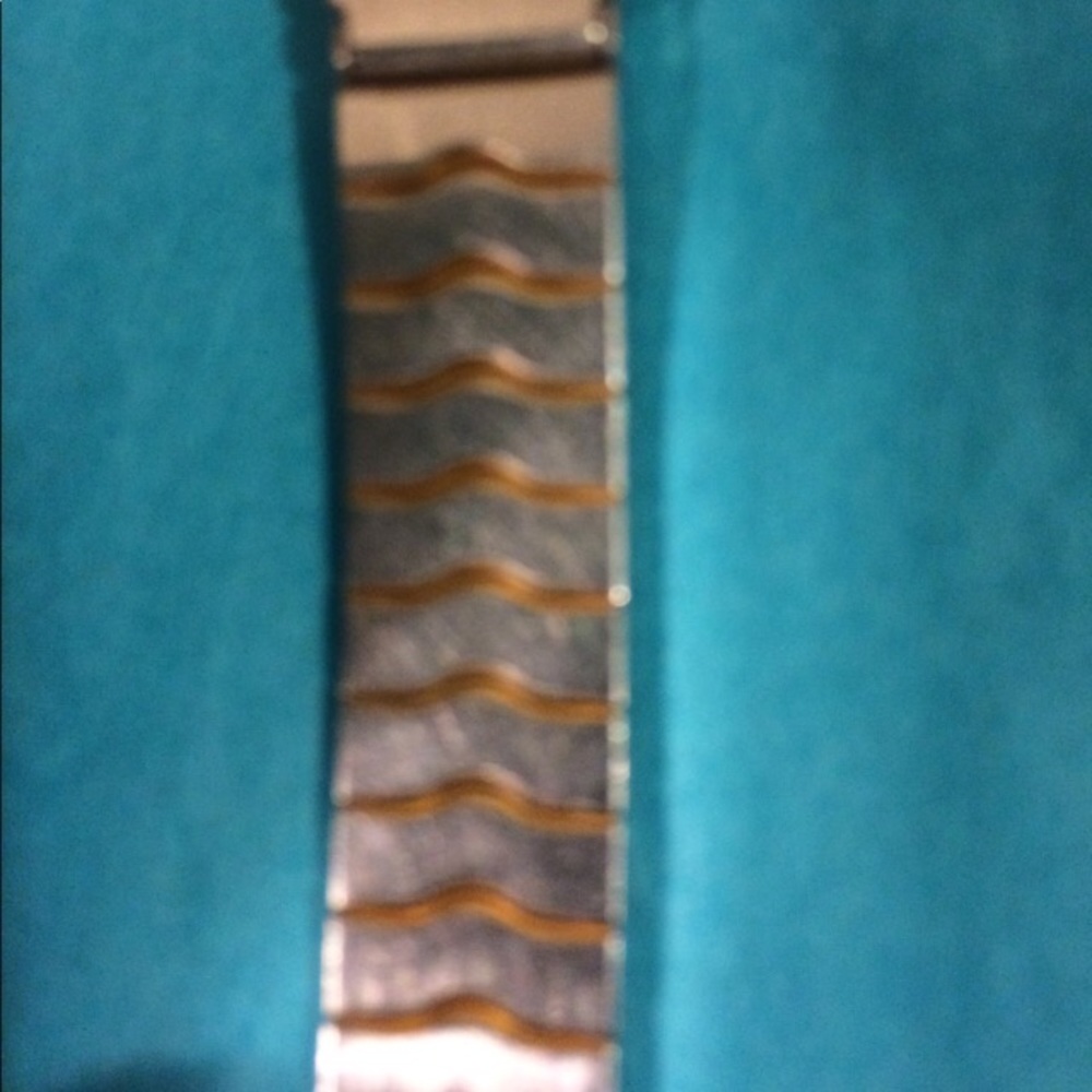 Coach Watch - Picture 4 of 4