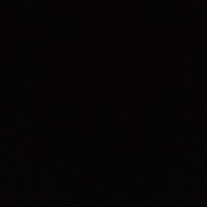 Meet your Posher, Hudson