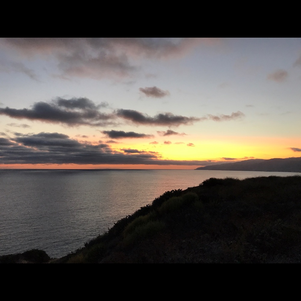 Meet your Posher, Claudia