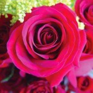 Meet your Posher, Gloria