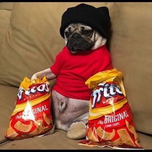 Meet your Posher, Morgan