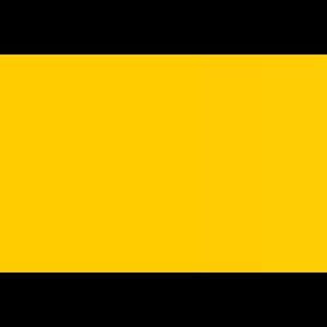 Meet your Posher, Bridgette