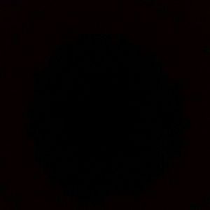 Meet your Posher, Aminata