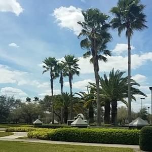 Meet your Posher, Nyla