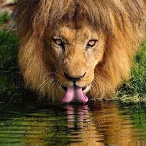 Meet your Posher, Maguy