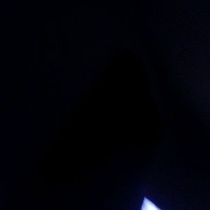 Meet your Posher, Logan