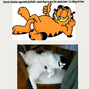 Meet your Posher, Stacey