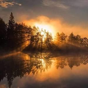 Meet your Posher, Misty