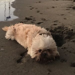 Meet your Posher, Meghan