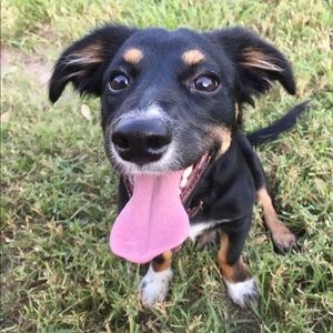 Meet your Posher, Emma