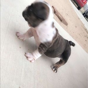 Meet your Posher, Jesus