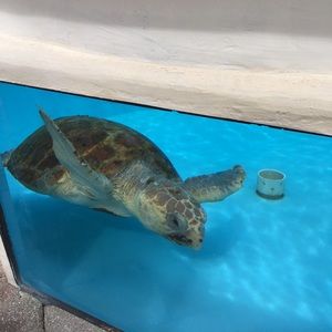 Meet your Posher, Bree