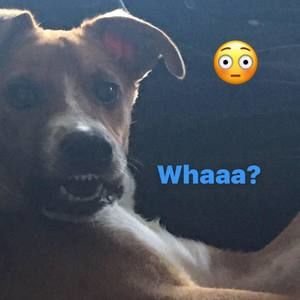 Meet your Posher, Matt