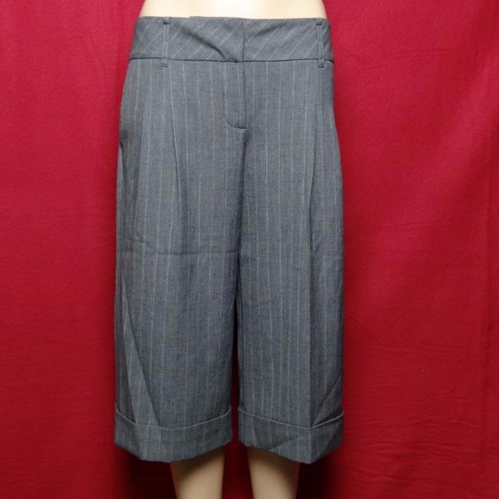 Ann Taylor gray Stretch Lined Capris Sz 8p NWT $59