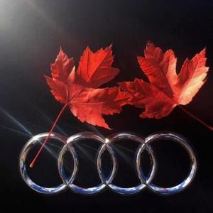 Meet your Posher, Jeff