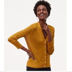 LOFT Metallic Shimmer Sheer 3/4 Sleeve Cardigan M