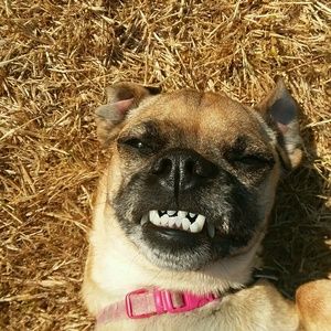 Meet your Posher, Jesse