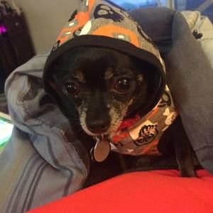 Meet your Posher, Dayna