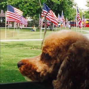 Meet your Posher, Alicia