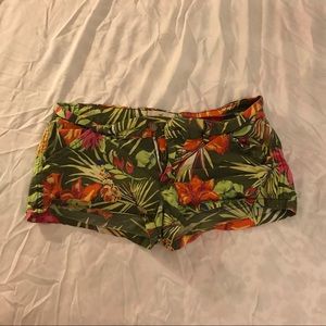 Hollis tee jungle shorts