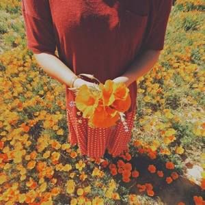 Meet your Posher, Kay