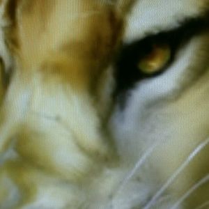 Meet your Posher, Isaac