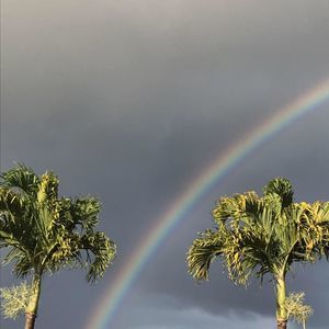 Meet your Posher, Silvia