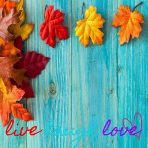 Meet your Posher, Connie